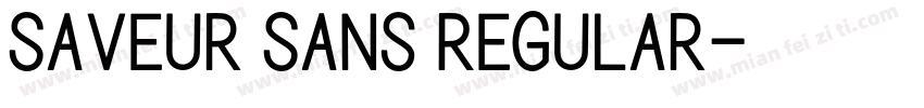 Saveur Sans Regular字体转换